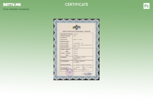 Модерен стил на Есватини од витално значење за умрениот шаблон PSD шаблон